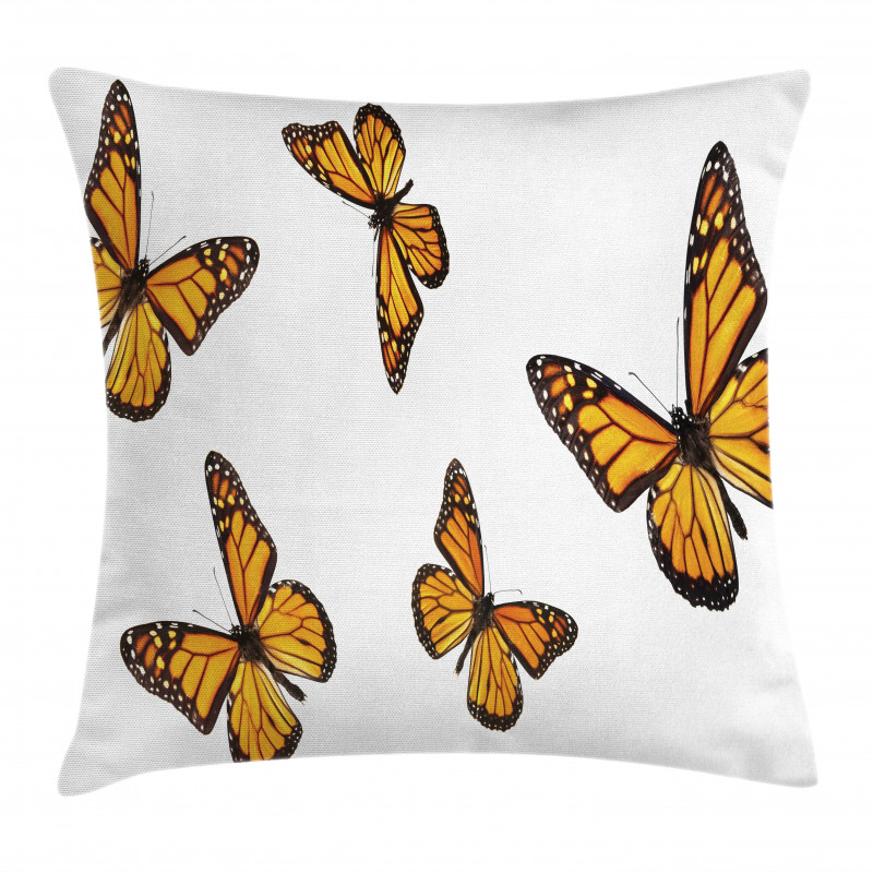 Gracious Winged Insect Pillow Cover