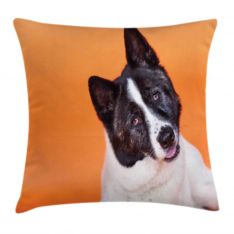 Akita on Orange Pillow Cover