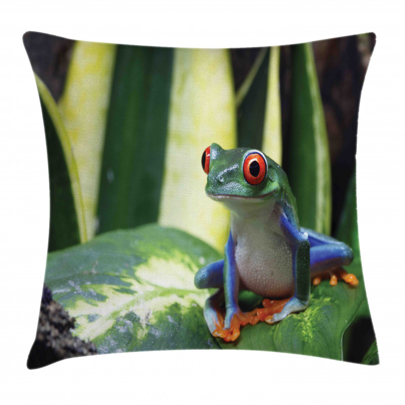 Exotic Vivid Animal on Leaf Pillow Cover