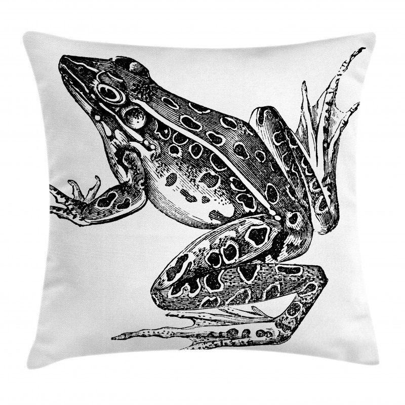 Dotted Exotic Amphibian Breed Pillow Cover