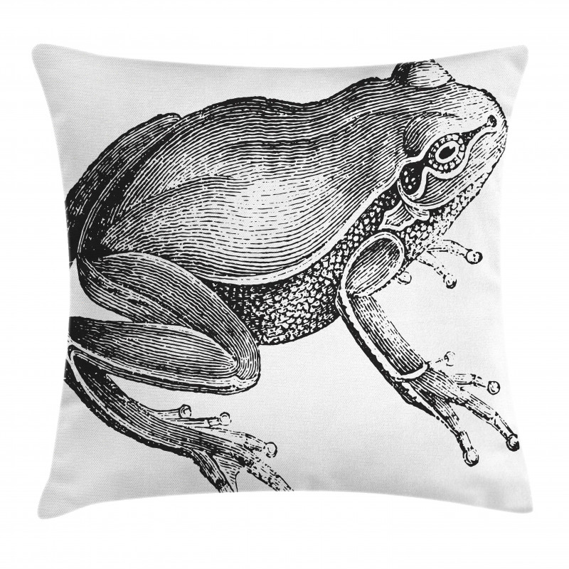 Engraved Amphibian Fauna Art Pillow Cover