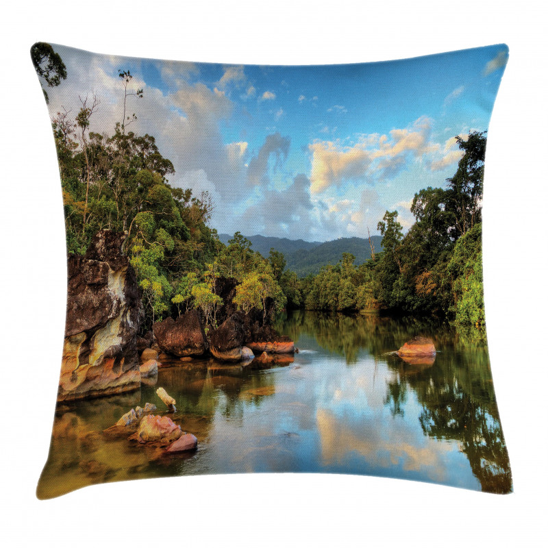 View of Jungle River Pillow Cover