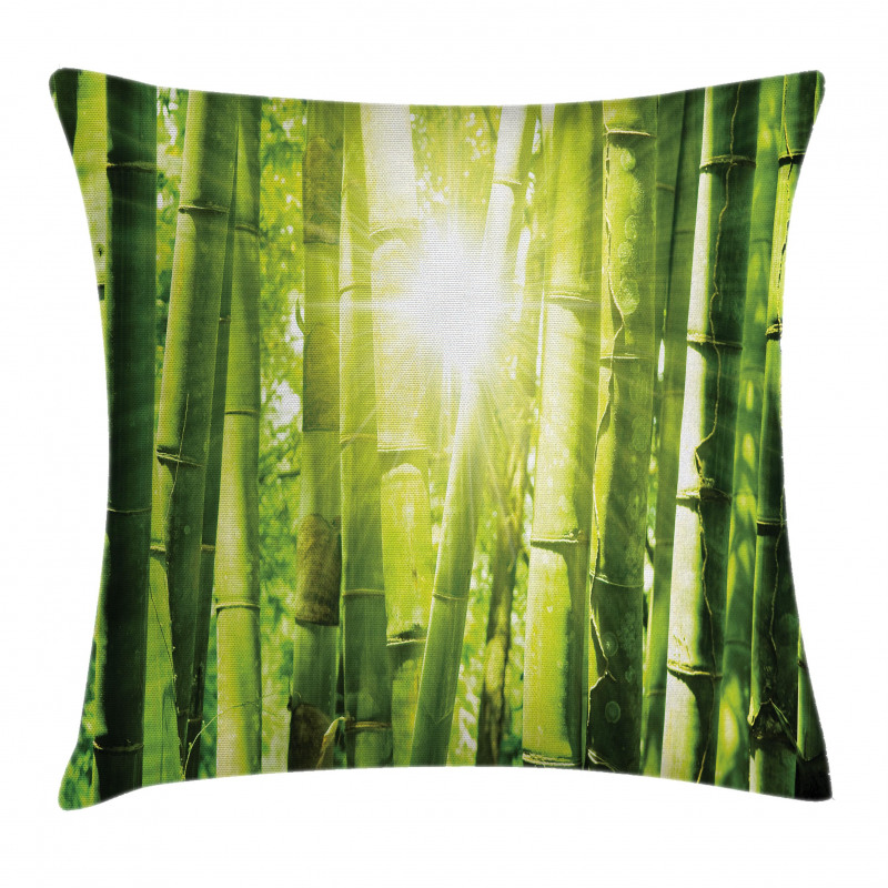 Sun Beams in Wild Jungle Pillow Cover