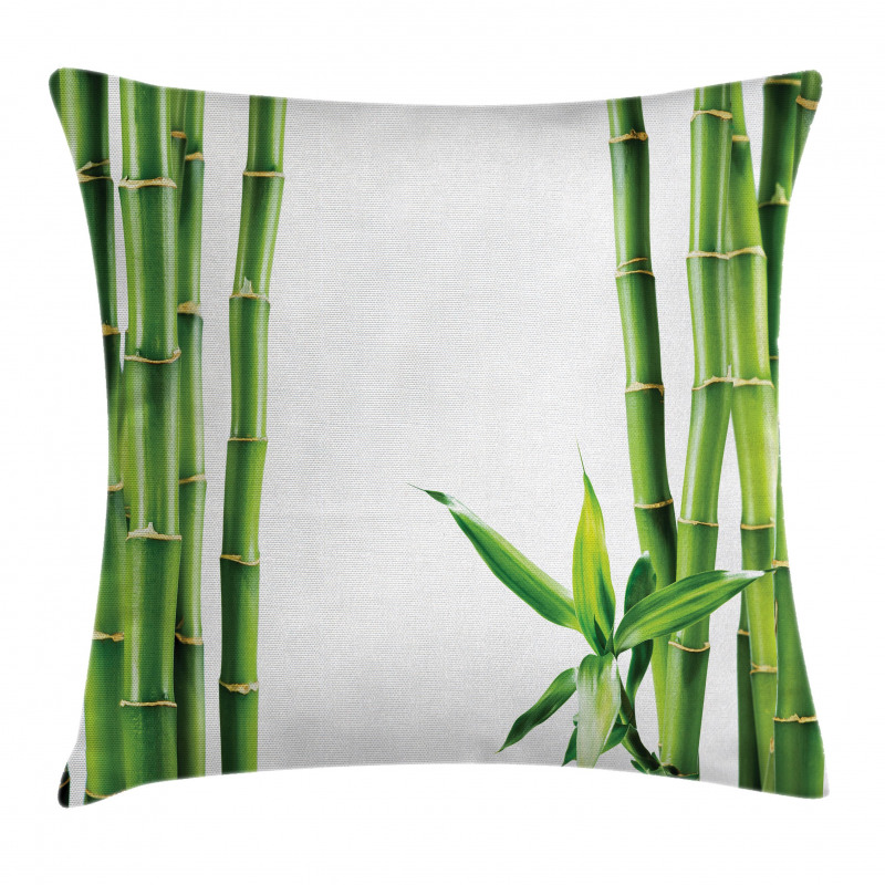 Branches of Bamboo Plant Pillow Cover