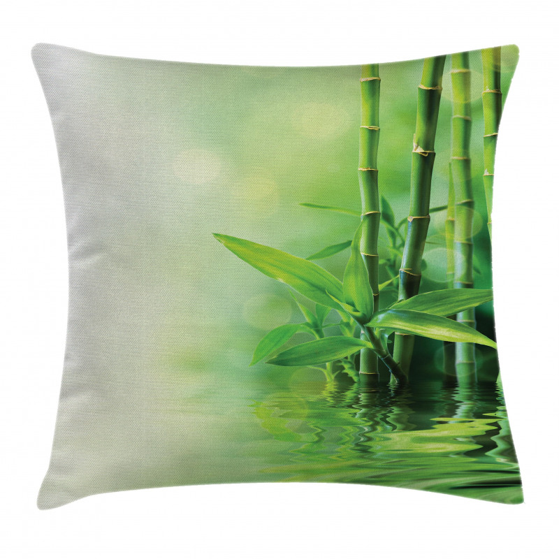 Spa Bamboos Trees Pillow Cover