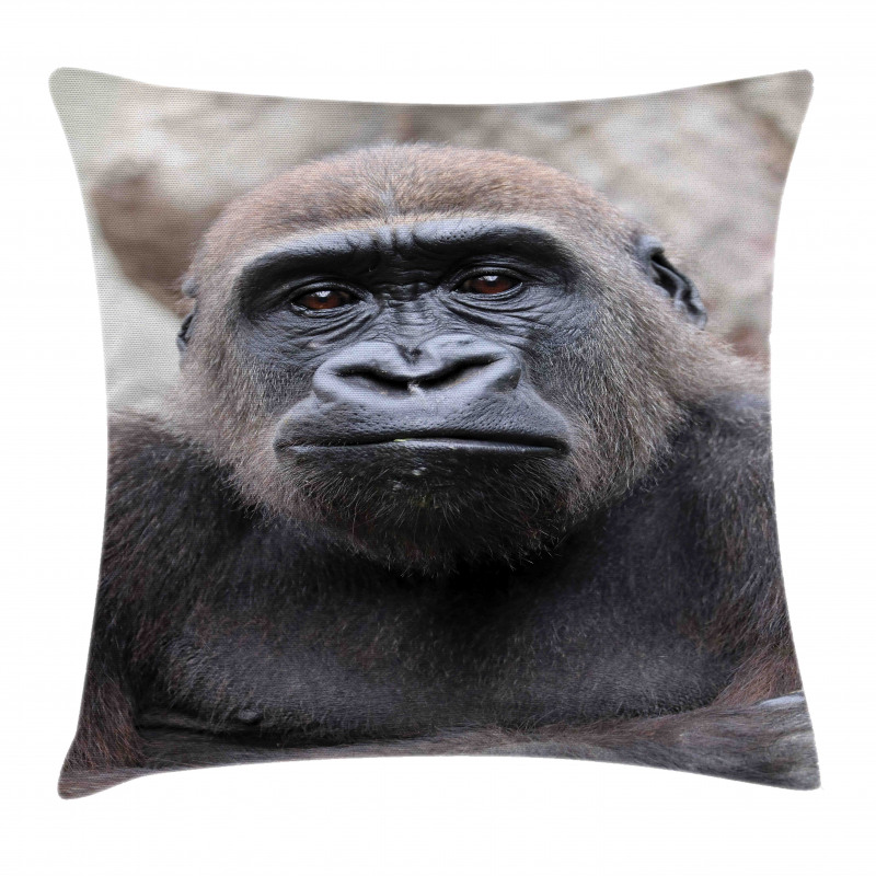 Close up Young Male Gorilla Pillow Cover