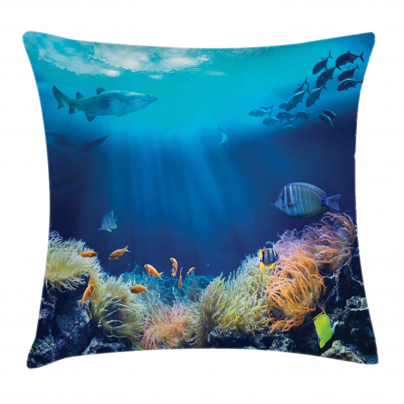 Various Fish Nautical Pillow Cover