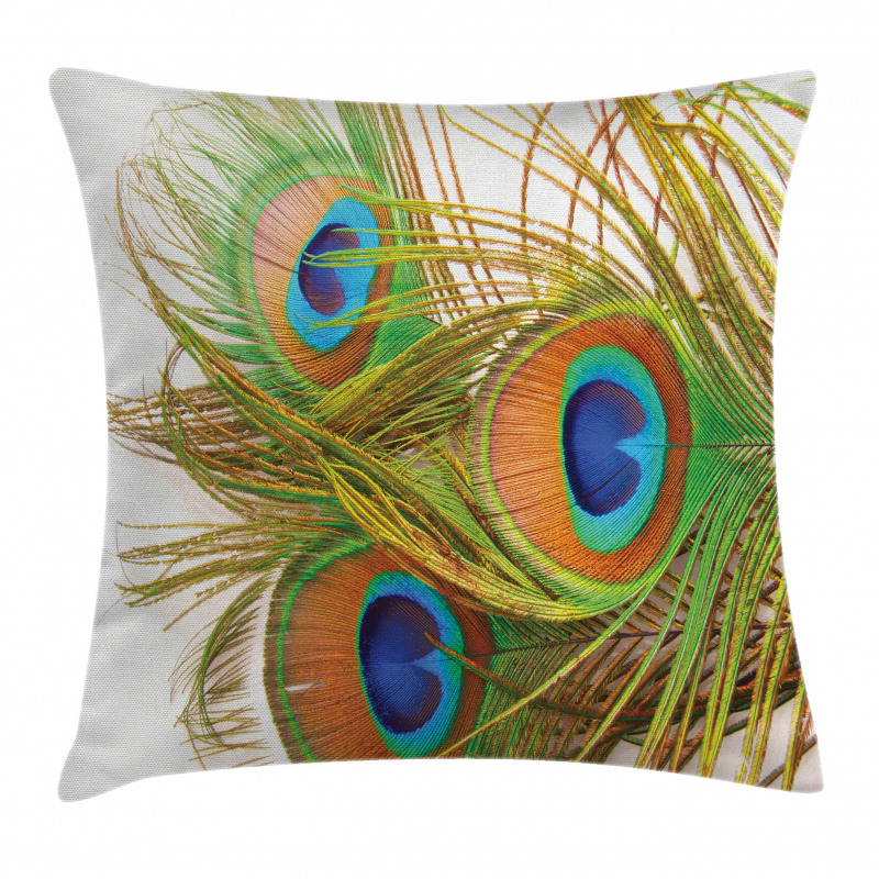 Modern Peacock Feathers Pillow Cover