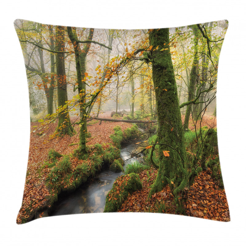 Misty Woods Cornwall Pillow Cover