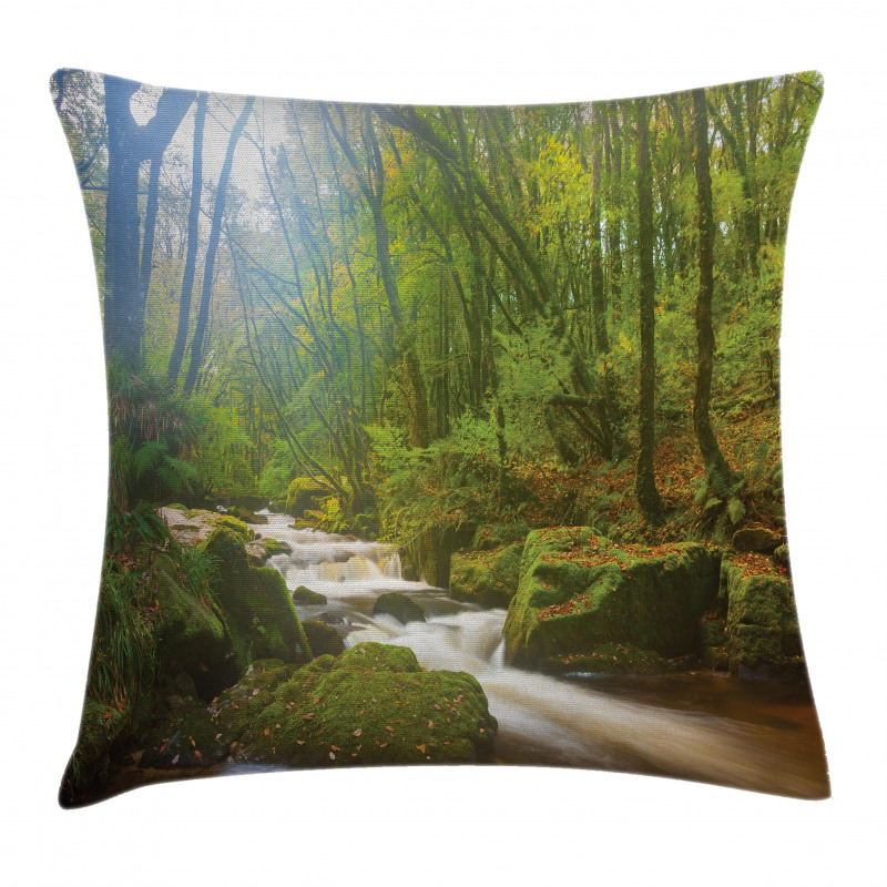 Forest at Golitha Falls Pillow Cover