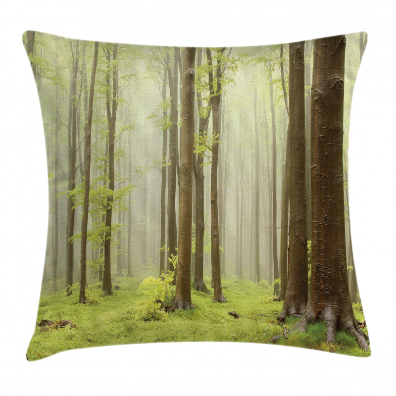 Misty Beech Forest Photo Pillow Cover