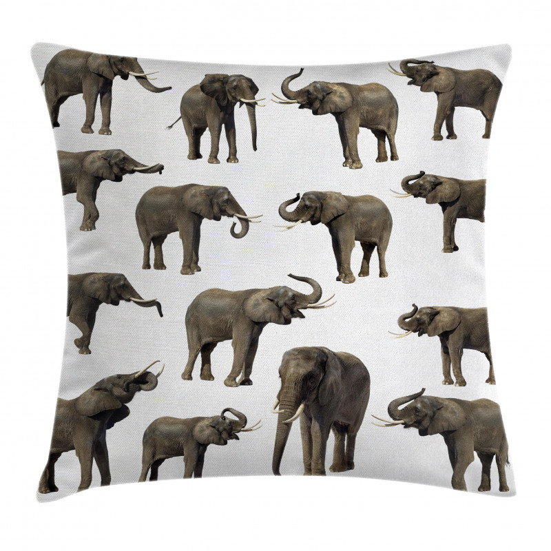 Elephants Tusk Ear Pillow Cover
