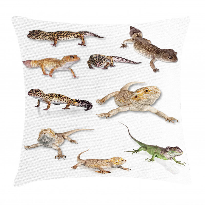 Primitive Reptile Pillow Cover