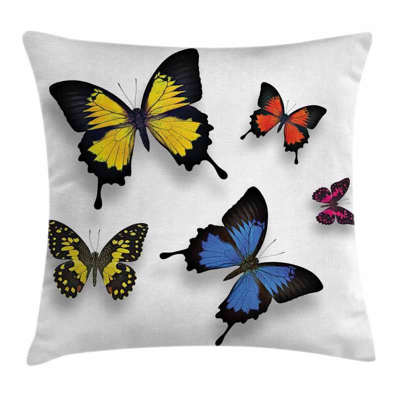 Nature Moths Wings Pillow Cover