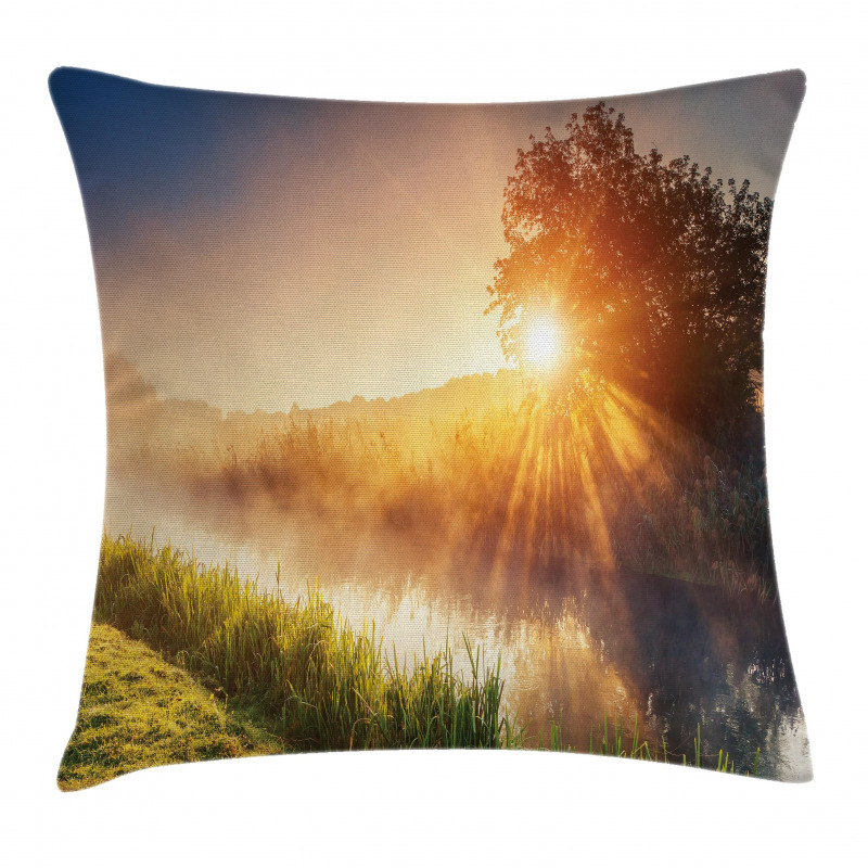 Tree Ukraine Rural Pillow Cover