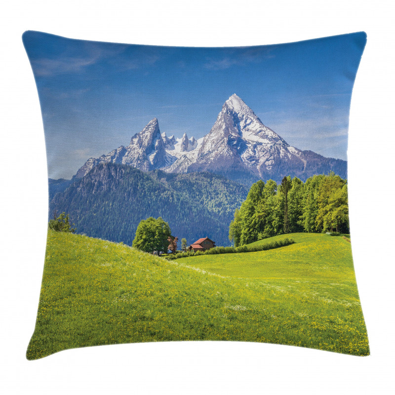 Alps with Meadow Flora Pillow Cover