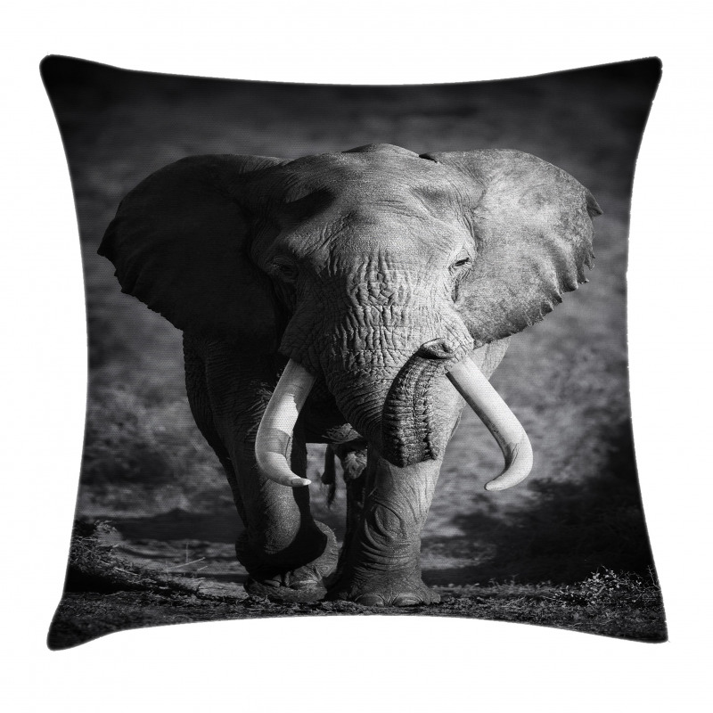 Exotic Wildlife Elephant Pillow Cover