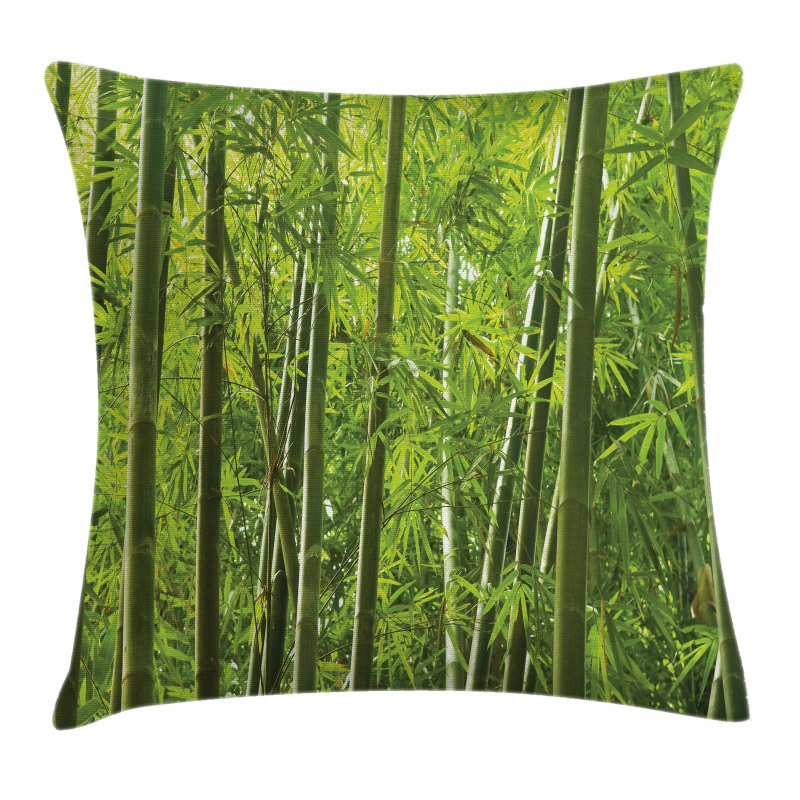 Exotic Tropical Bamboo Pillow Cover