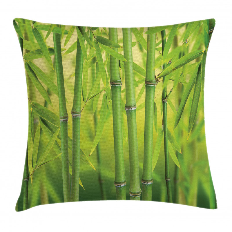 Bamboo Sprout Stem Forest Pillow Cover