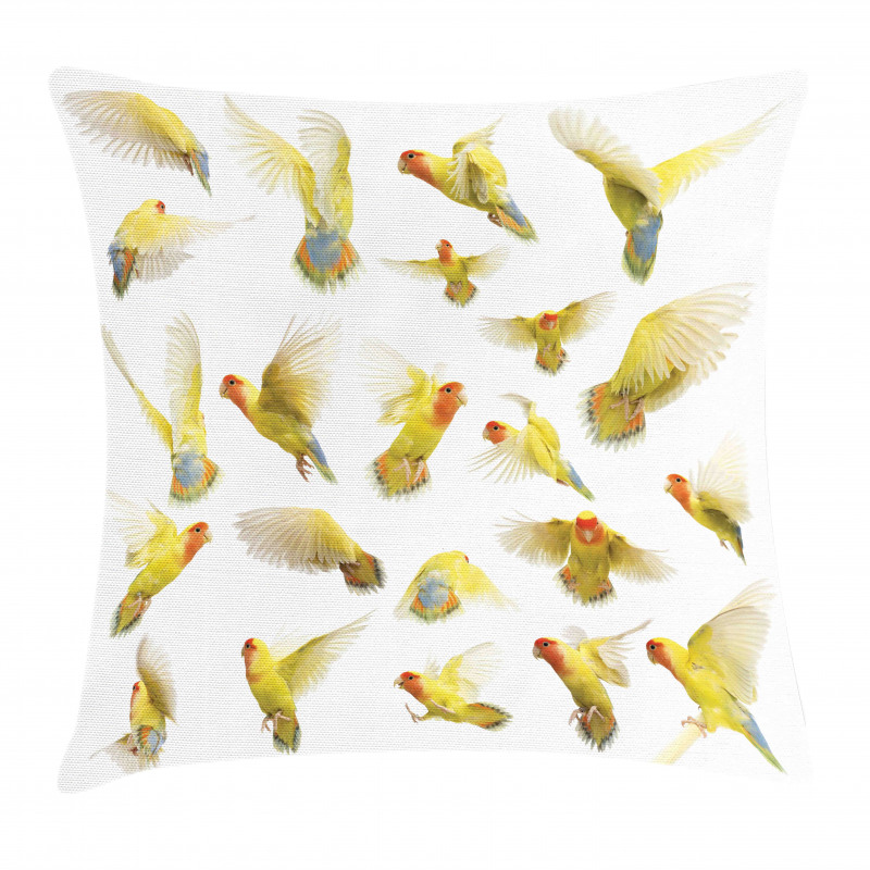 Peach Face Love Birds Pillow Cover