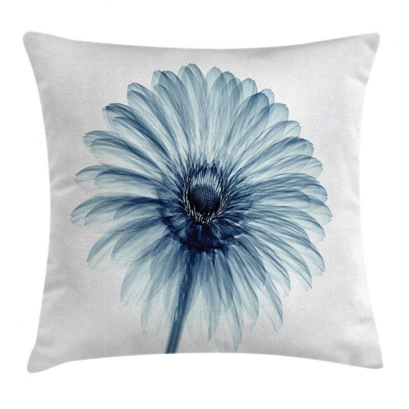 Daisies Flowers Plants Pillow Cover