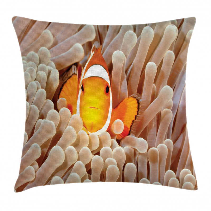 Bali Indonesia Fishes Pillow Cover