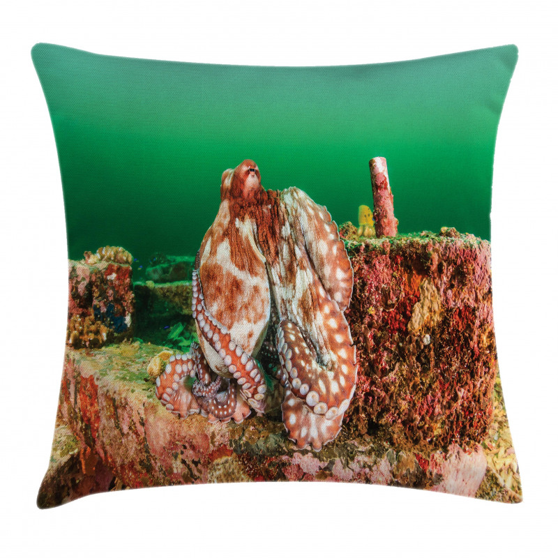 Octopus in Water Pillow Cover
