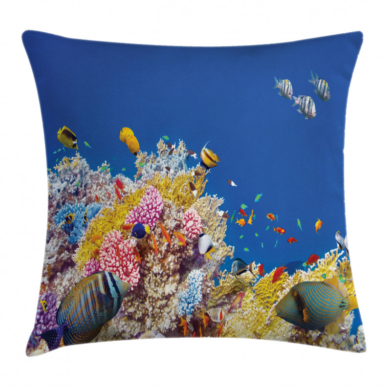 Tropical Corals Fish Pillow Cover