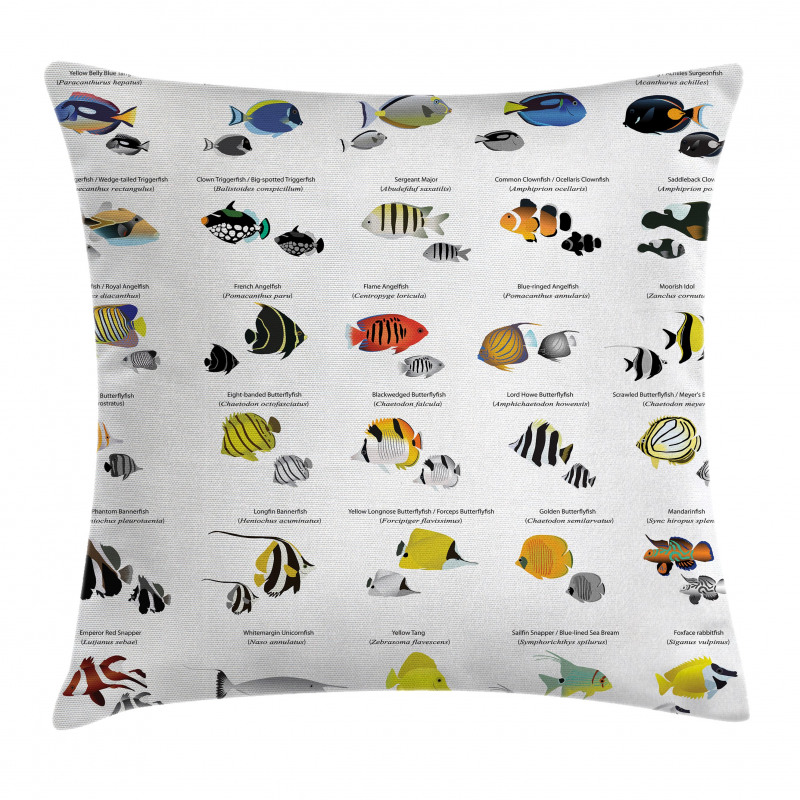 Underwater Aquatic Species Pillow Cover