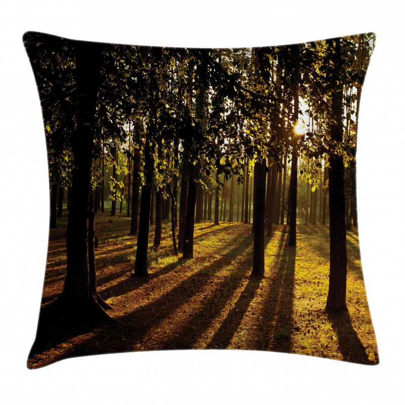 Summertime Forest Tree Pillow Cover