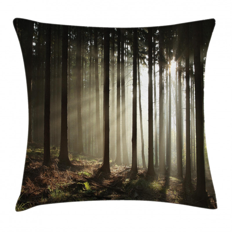 Morning Forest Scenery Pillow Cover