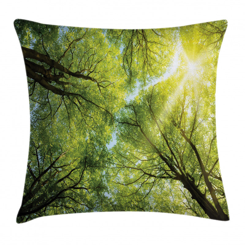 Romantic Beech Trees Pillow Cover