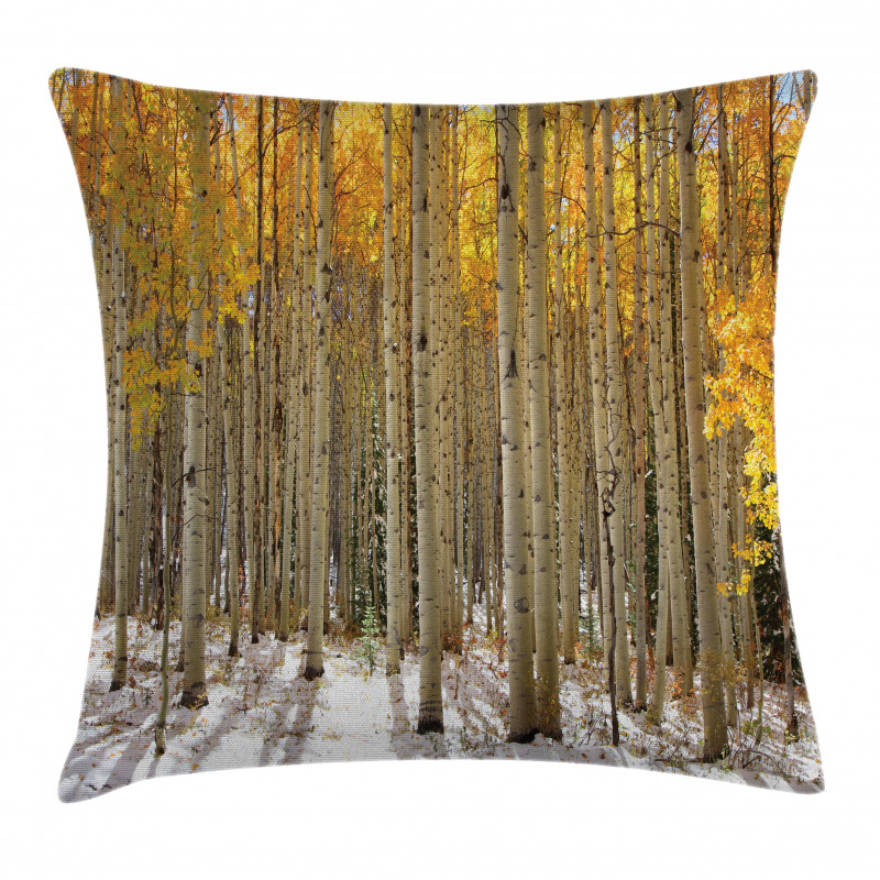 Aspen Tree Woods Scenery Pillow Cover