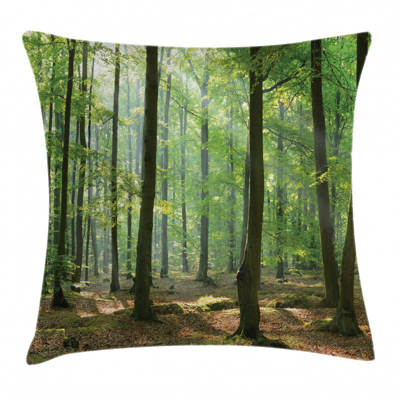 Morning Forest Farmhouse Pillow Cover