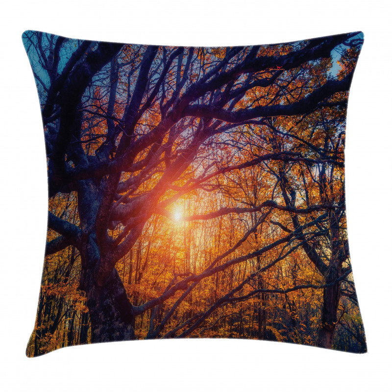 Majestic Trees Woods Pillow Cover