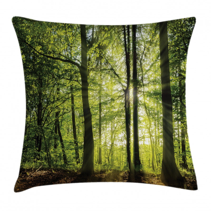 Sunny Forest Springtime Pillow Cover