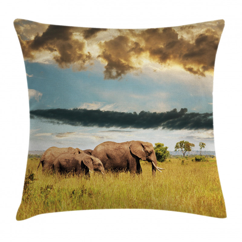Elephant Family Photo Pillow Cover