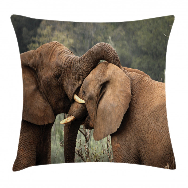 Safari Animals Savanna Pillow Cover