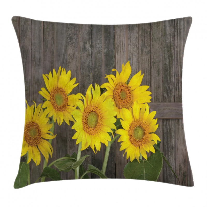 Helianthus Sunflowers Pillow Cover