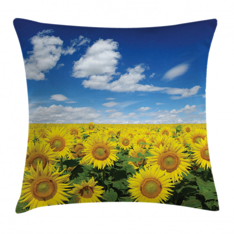 Fresh Field Country Pillow Cover