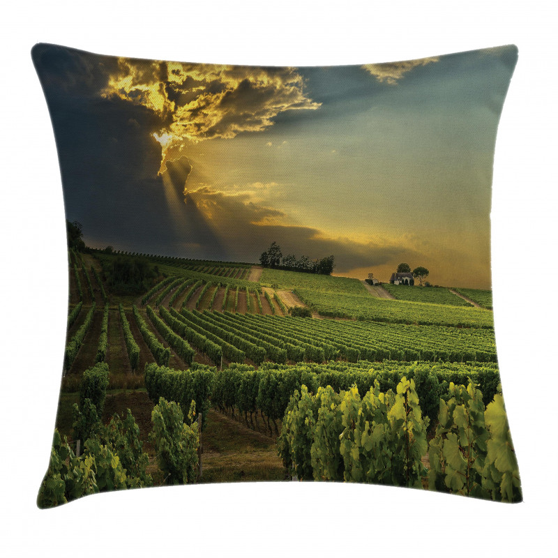 France Sunset Vineyard Pillow Cover