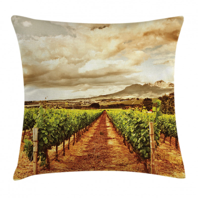Cloudy Vineyard in Fall Pillow Cover