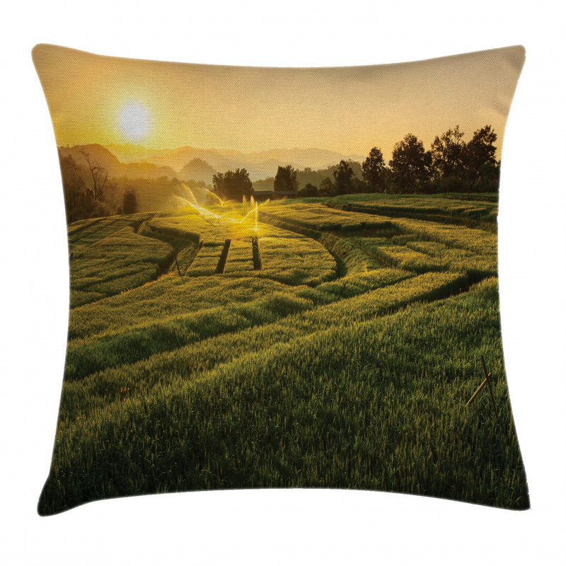 Barley Woods Sunset Pillow Cover