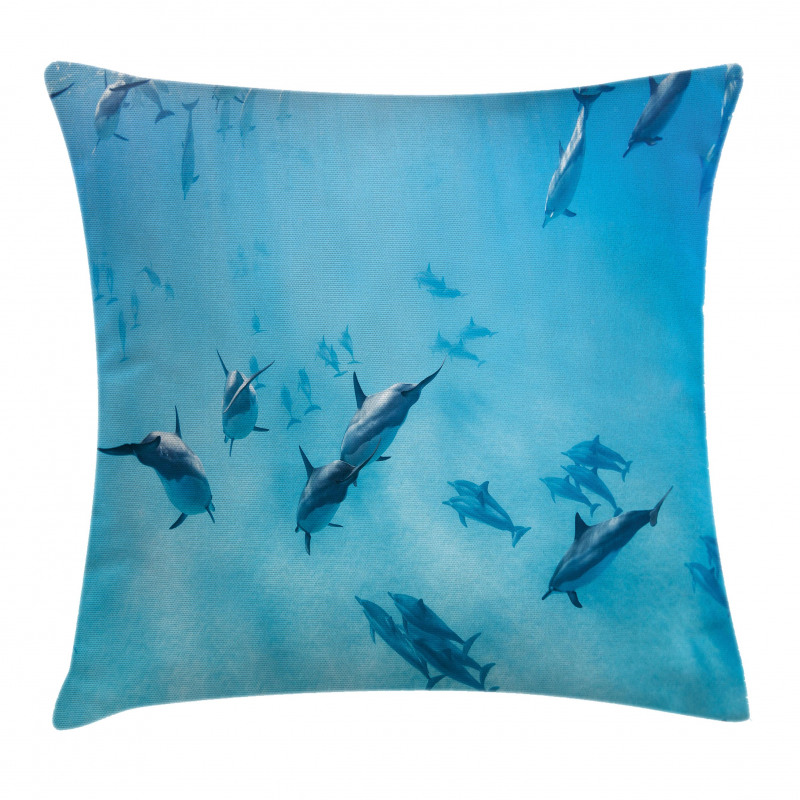 Dolphins Hawaii Ocean Pillow Cover