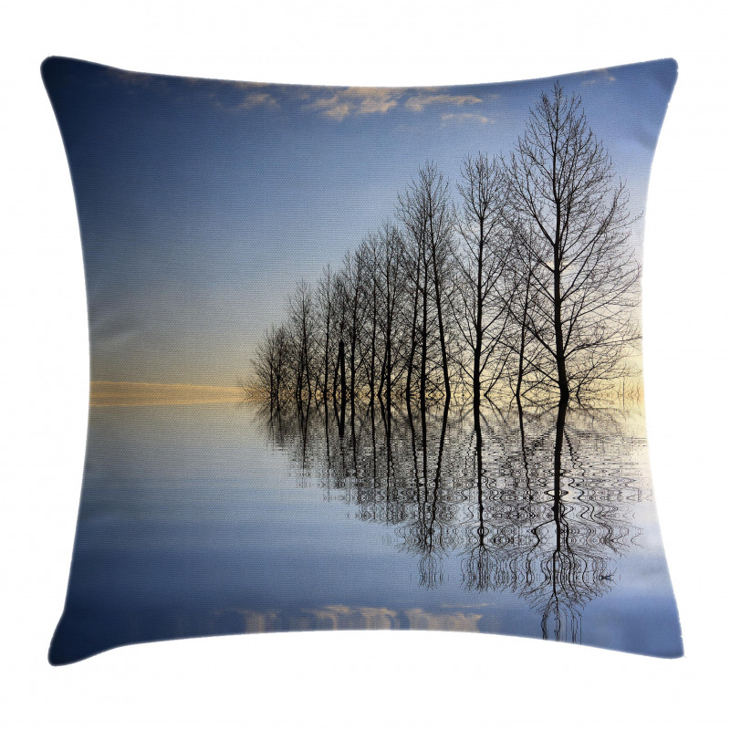 Frozen Lake in Nature Pillow Cover
