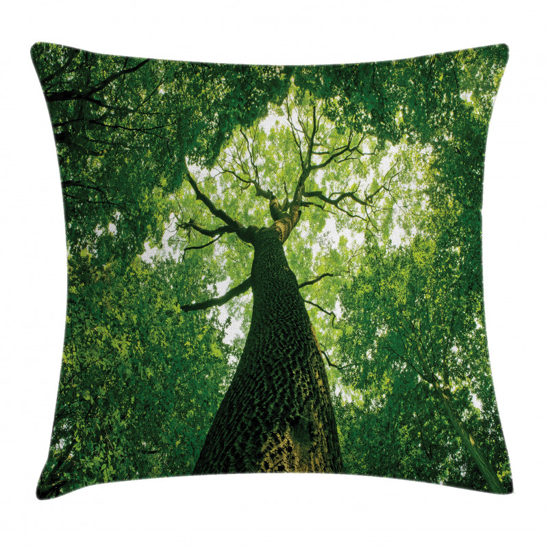Leaves Tree Branches Pillow Cover