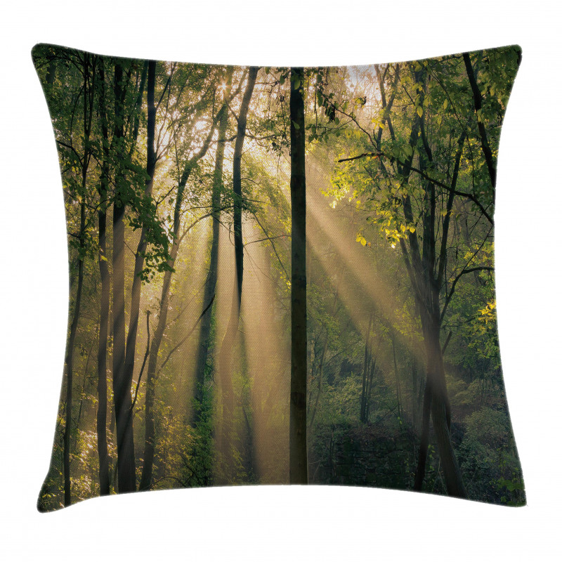 Summertime Countryside Pillow Cover