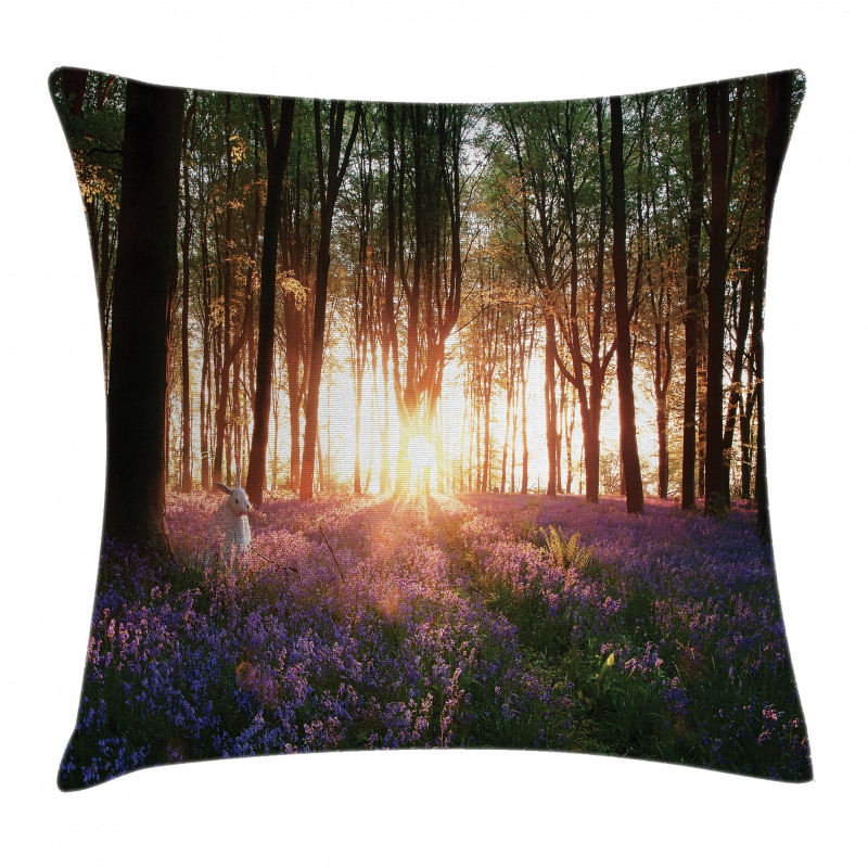 Sunrise Woods in Spring Pillow Cover