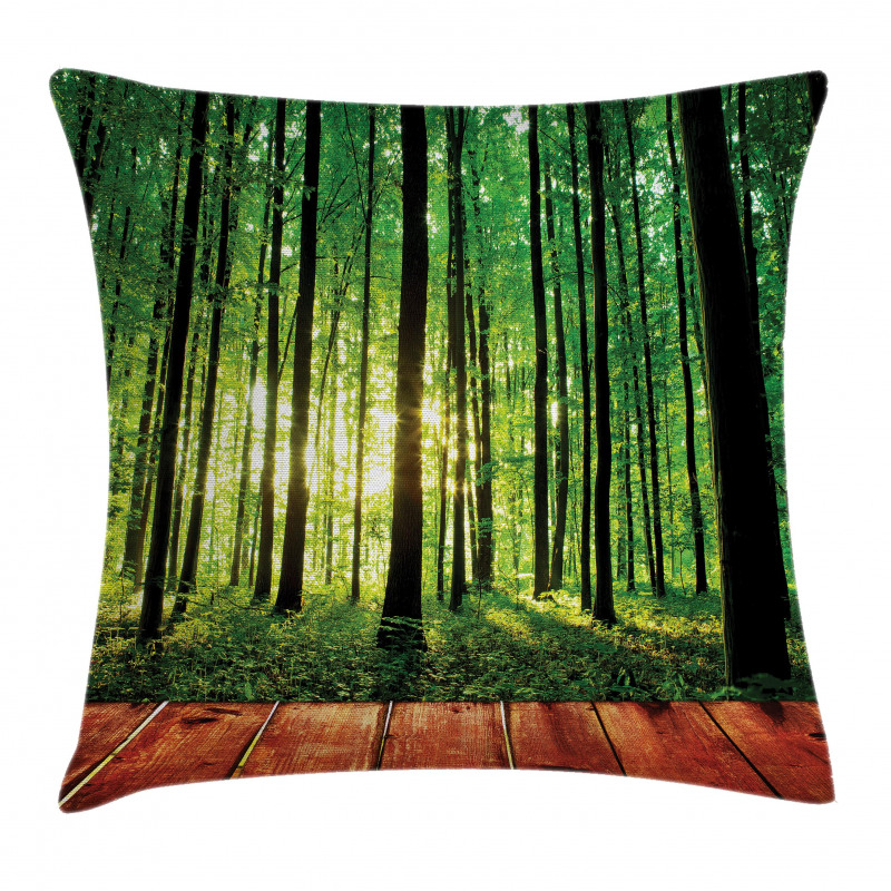 Sunlight Forest Trees Pillow Cover