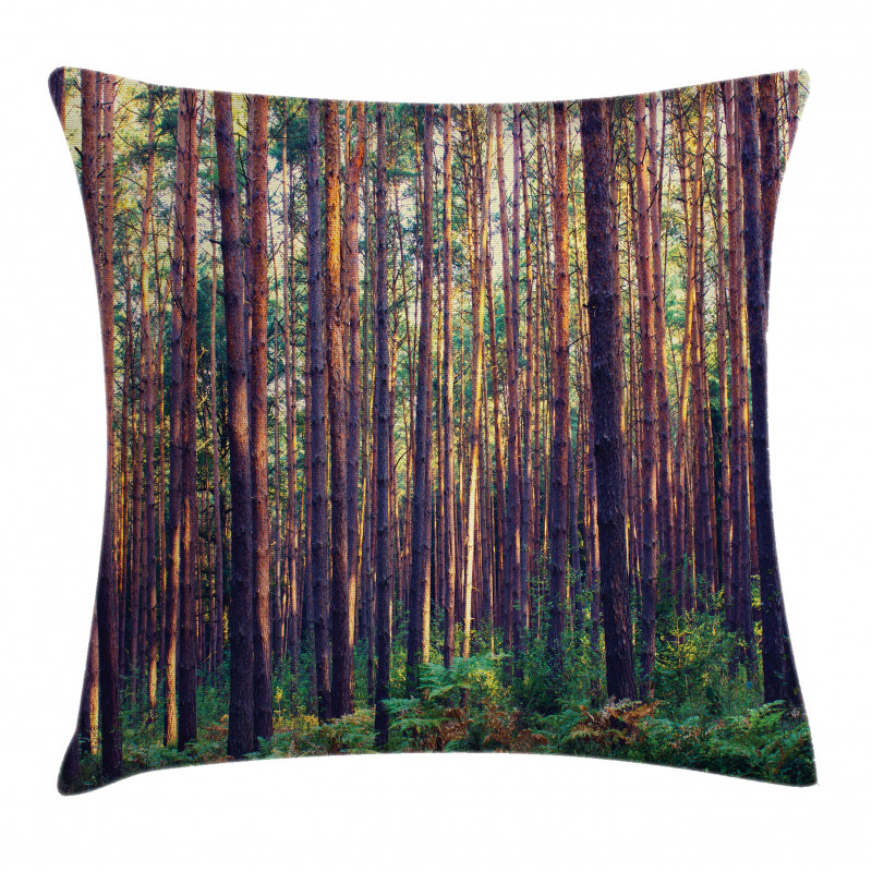 Fall Trees Forest Trunks Pillow Cover